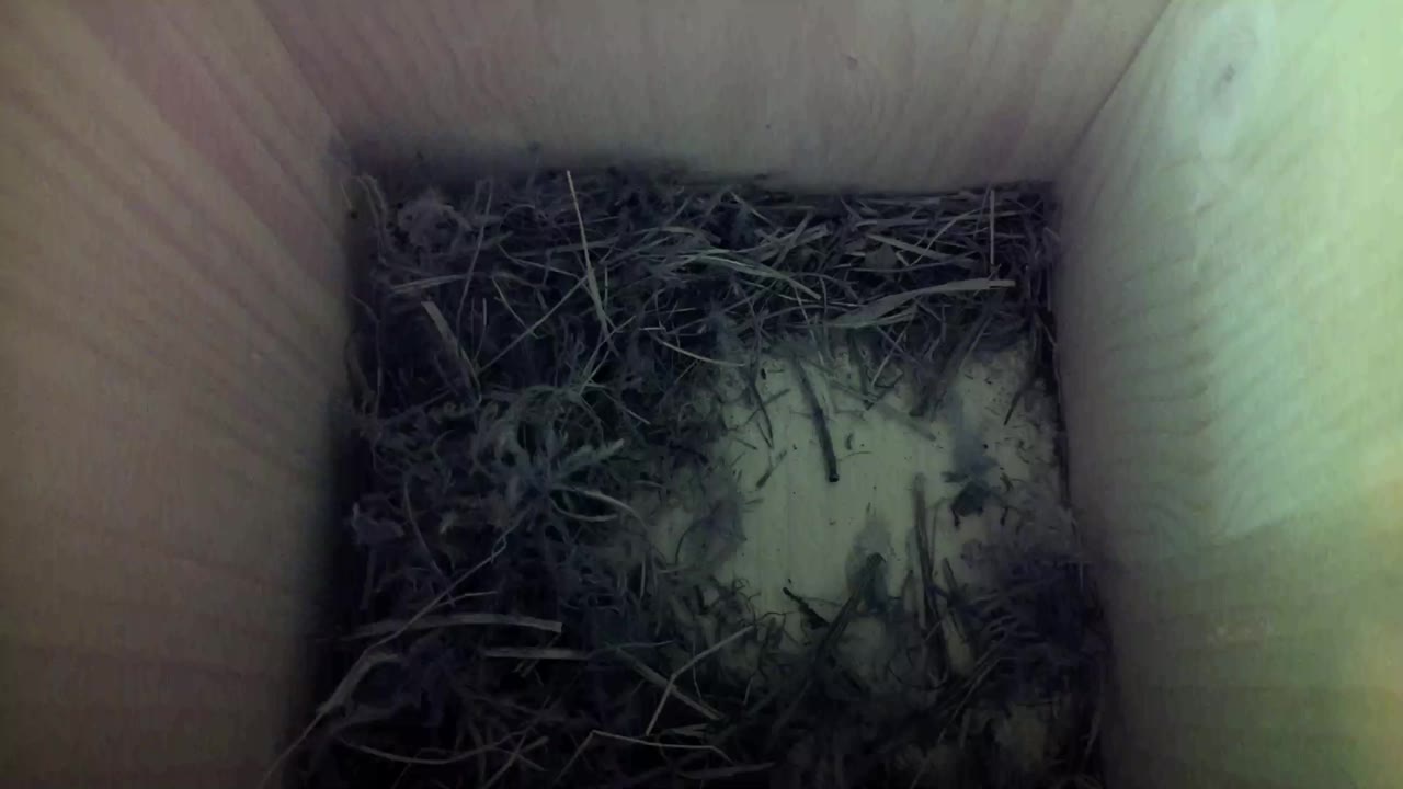 Aufnahme aus dem Vogelhaus