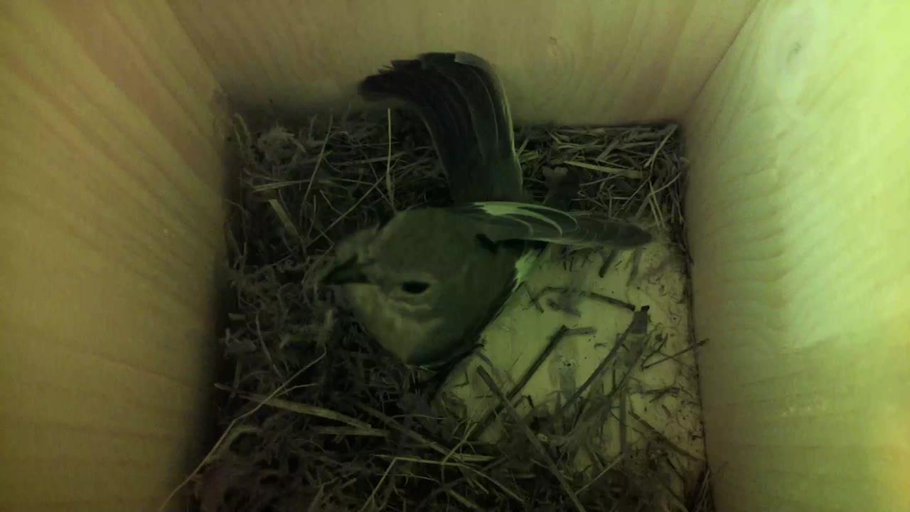Aufnahme aus dem Vogelhaus