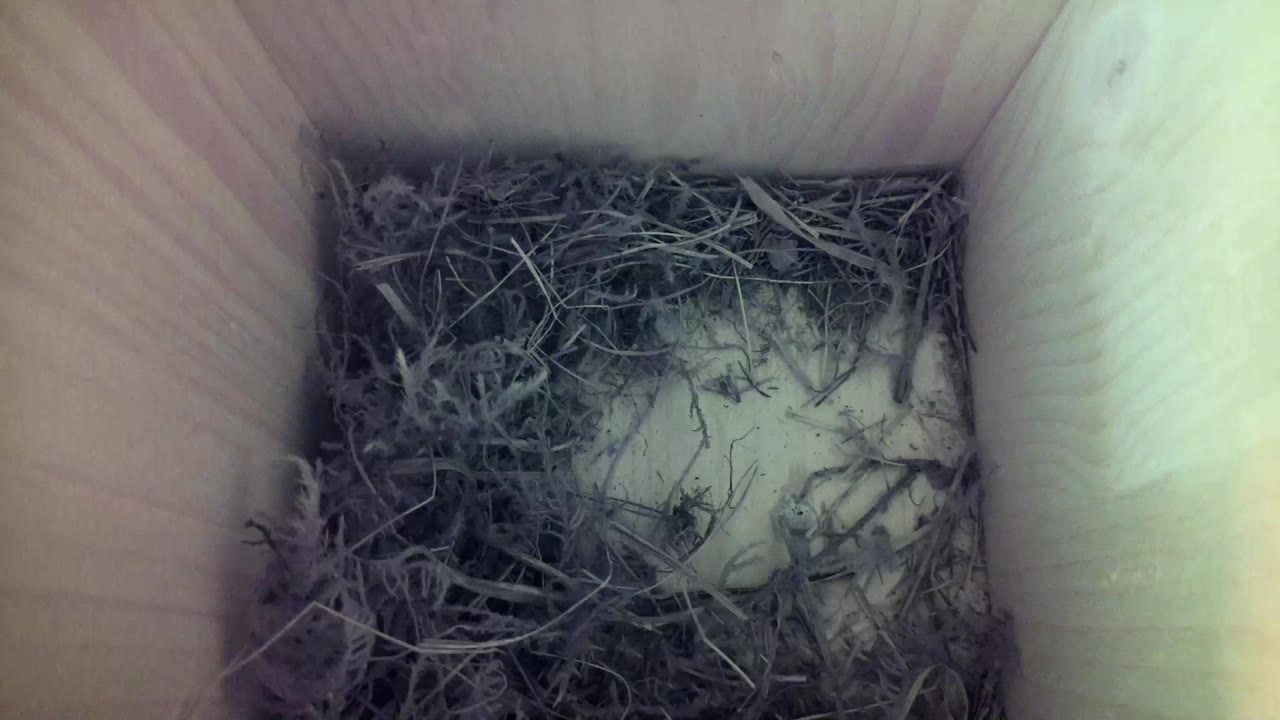 Aufnahme aus dem Vogelhaus