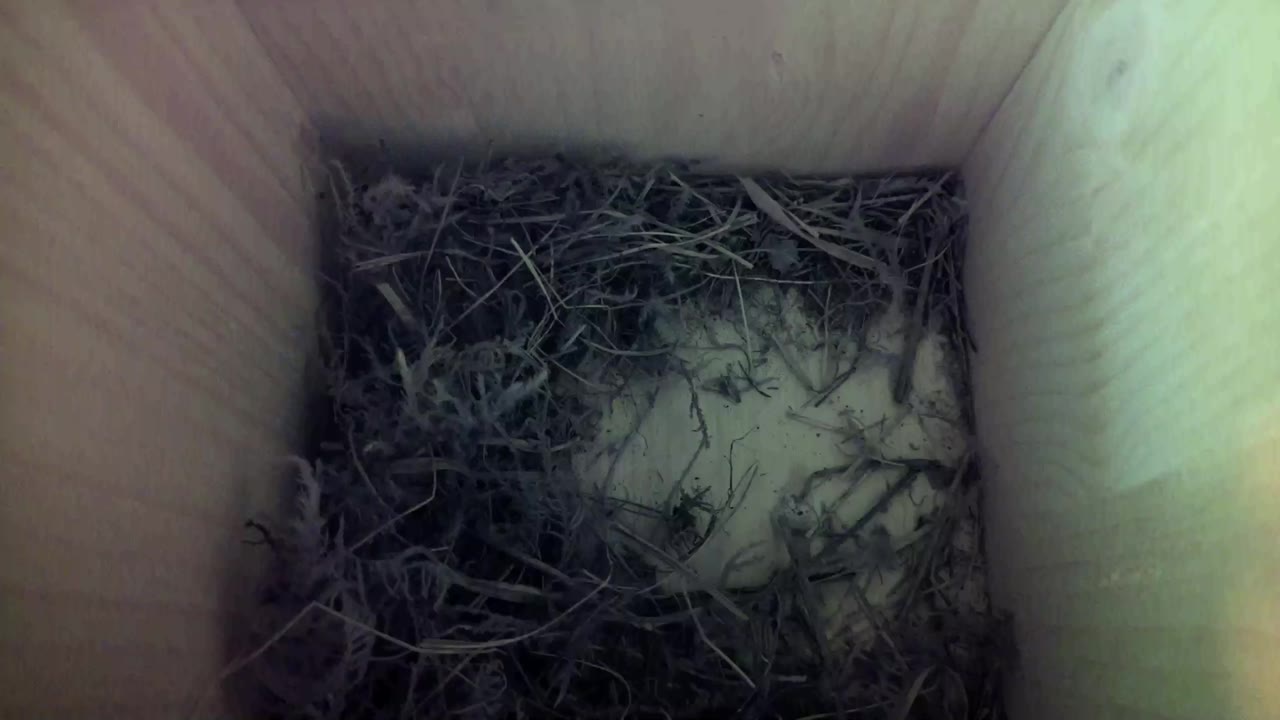 Aufnahme aus dem Vogelhaus