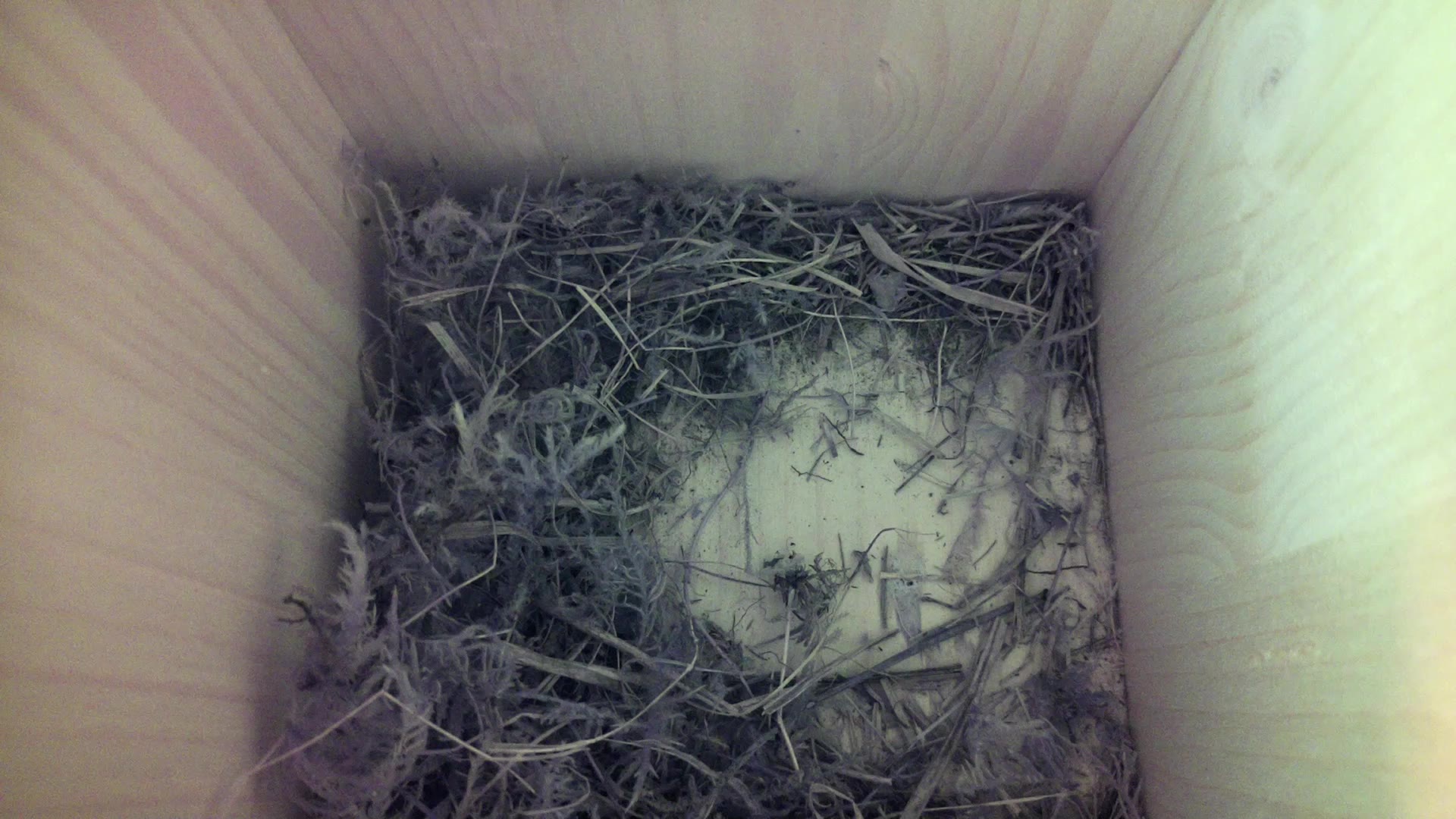 Aufnahme aus dem Vogelhaus