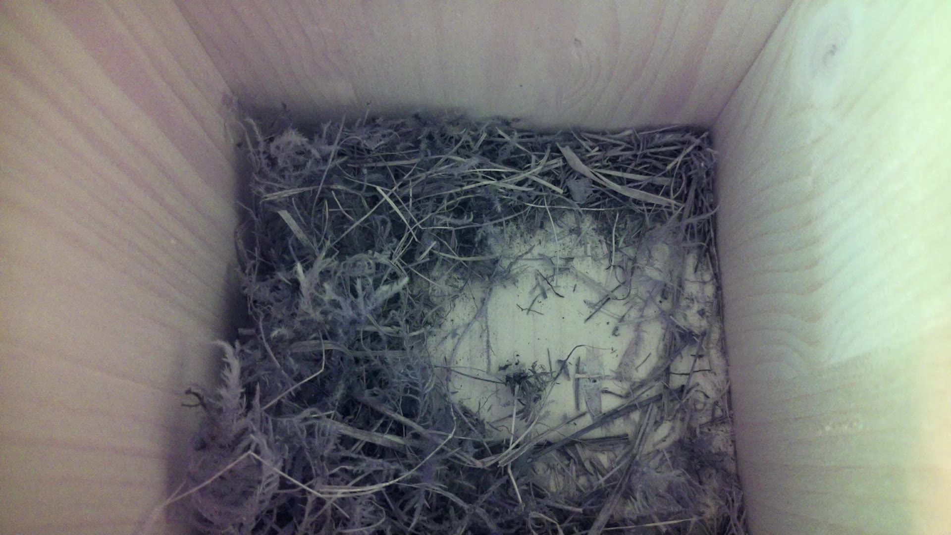 Aufnahme aus dem Vogelhaus