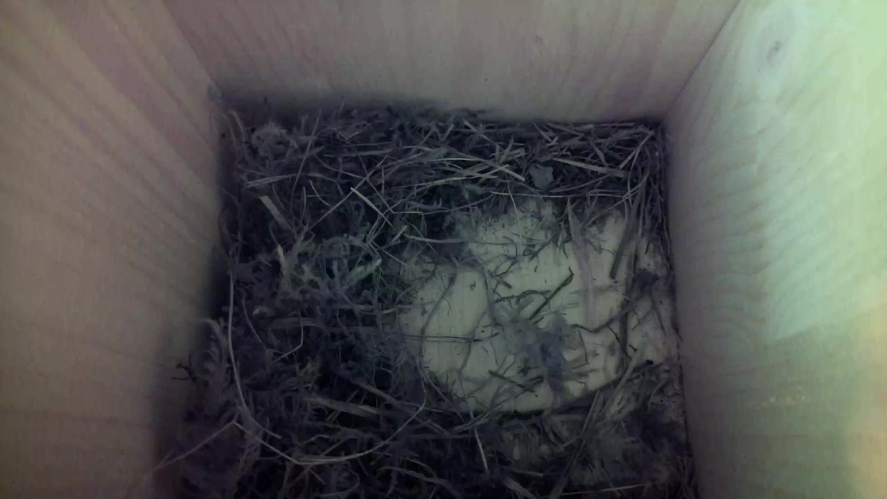Aufnahme aus dem Vogelhaus