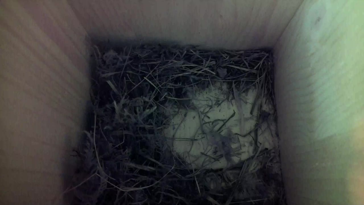Aufnahme aus dem Vogelhaus