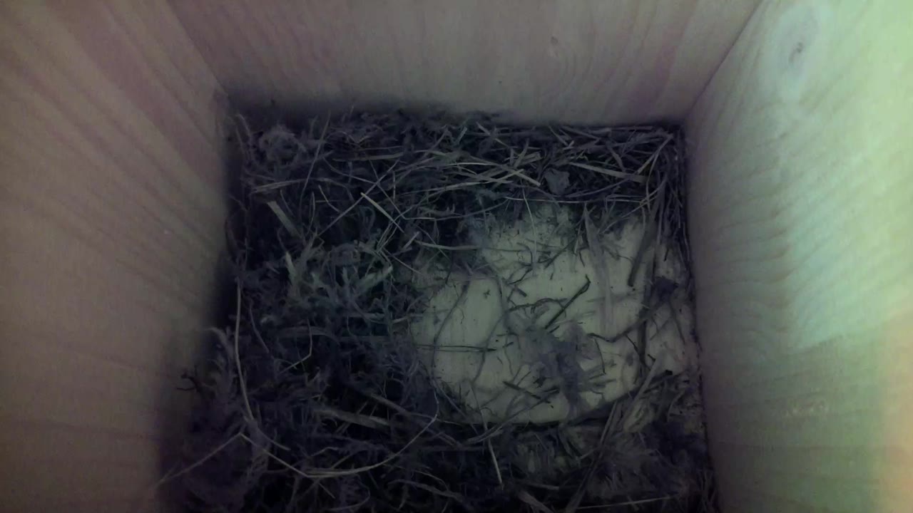Aufnahme aus dem Vogelhaus