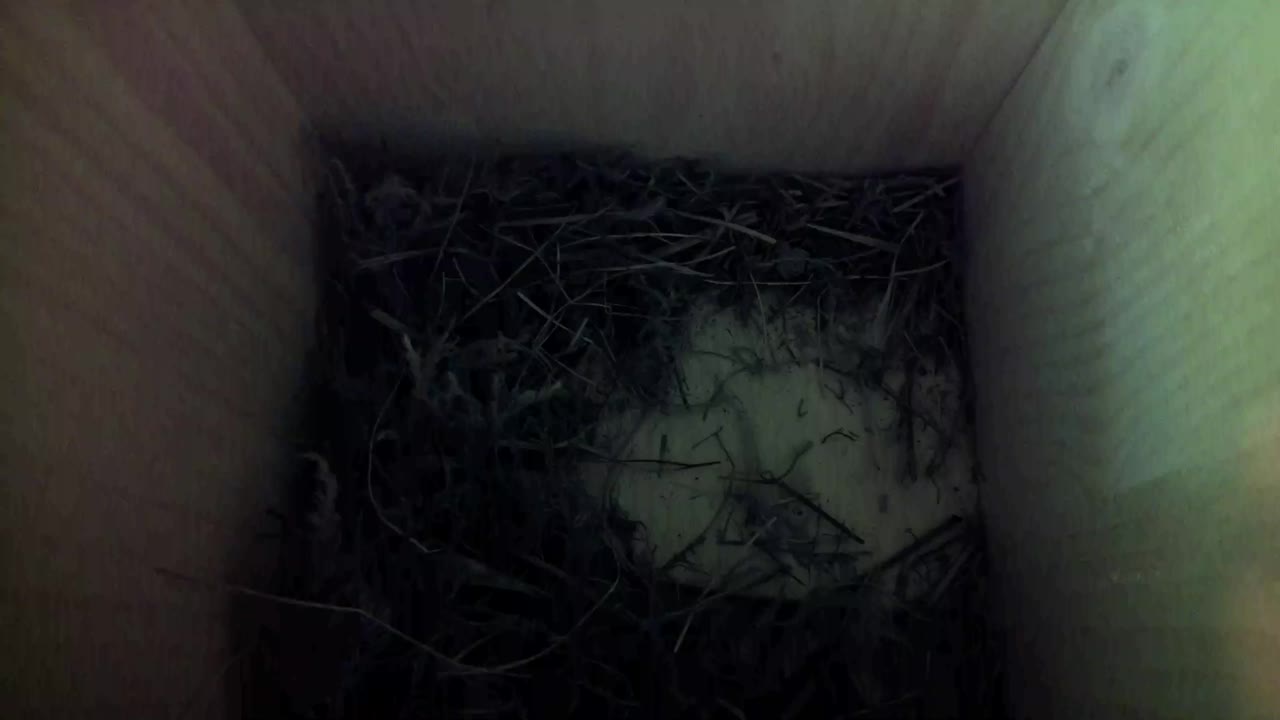 Aufnahme aus dem Vogelhaus