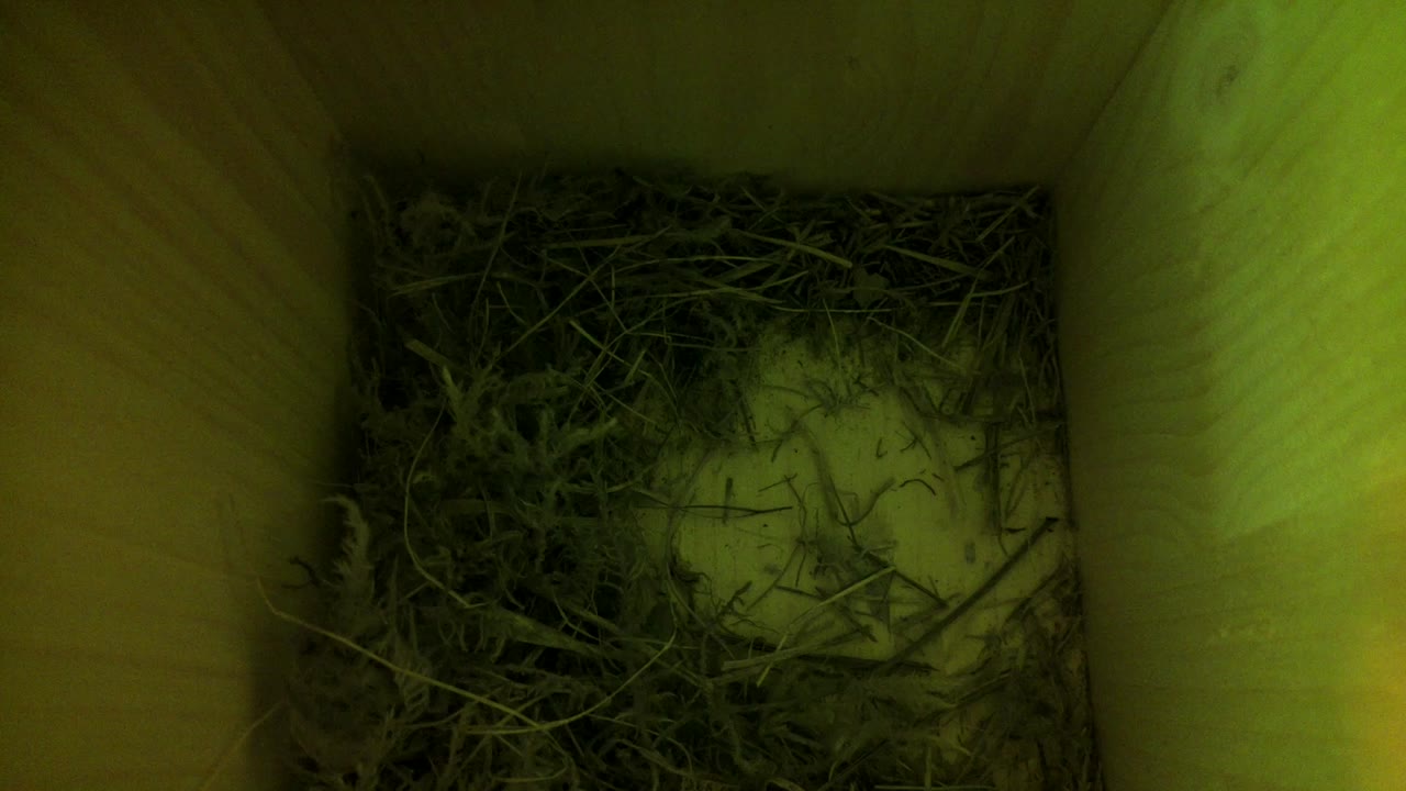 Aufnahme aus dem Vogelhaus