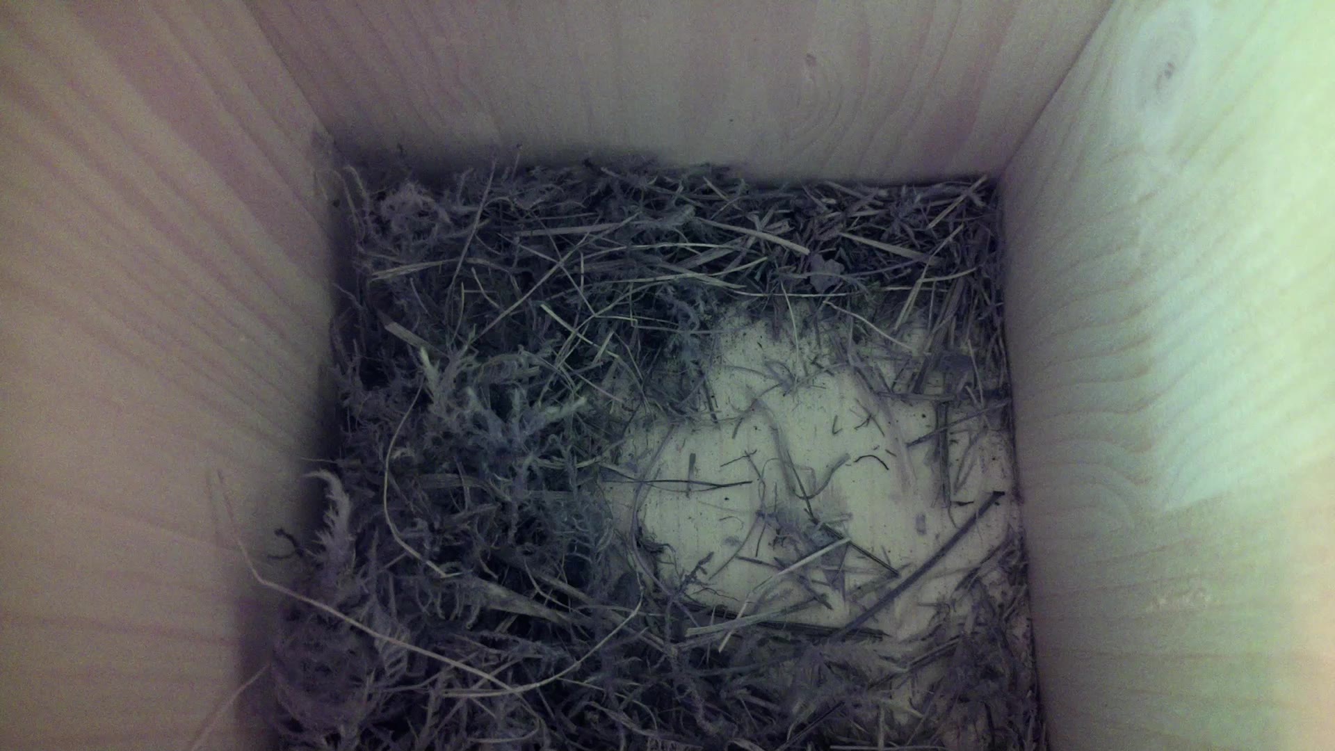 Aufnahme aus dem Vogelhaus