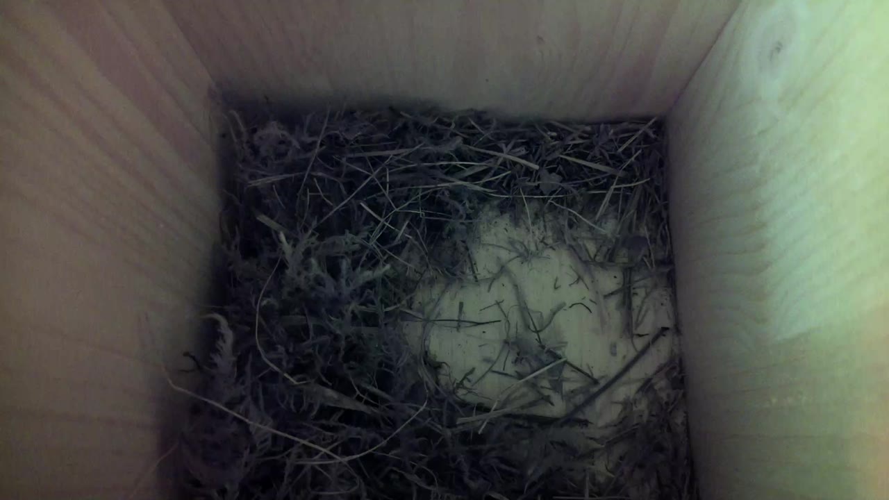 Aufnahme aus dem Vogelhaus
