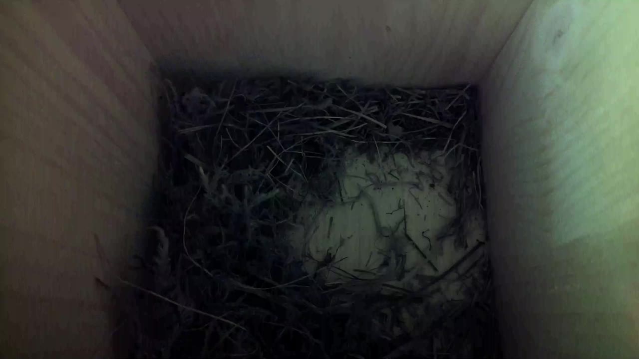 Aufnahme aus dem Vogelhaus