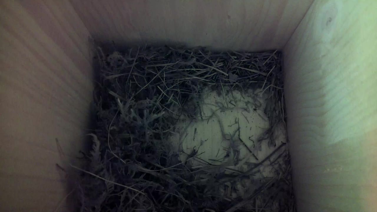 Aufnahme aus dem Vogelhaus