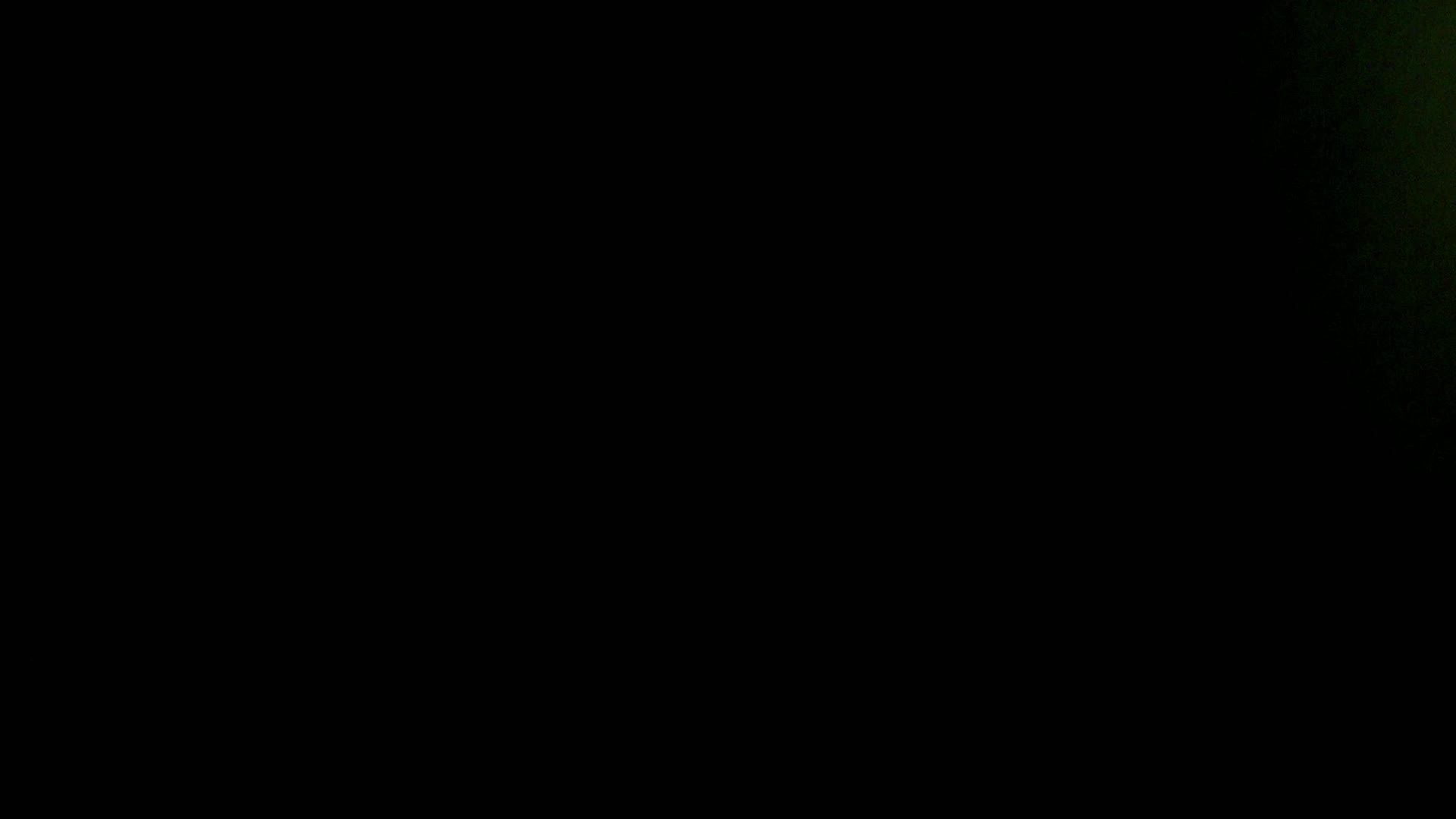 Aufnahme aus dem Vogelhaus