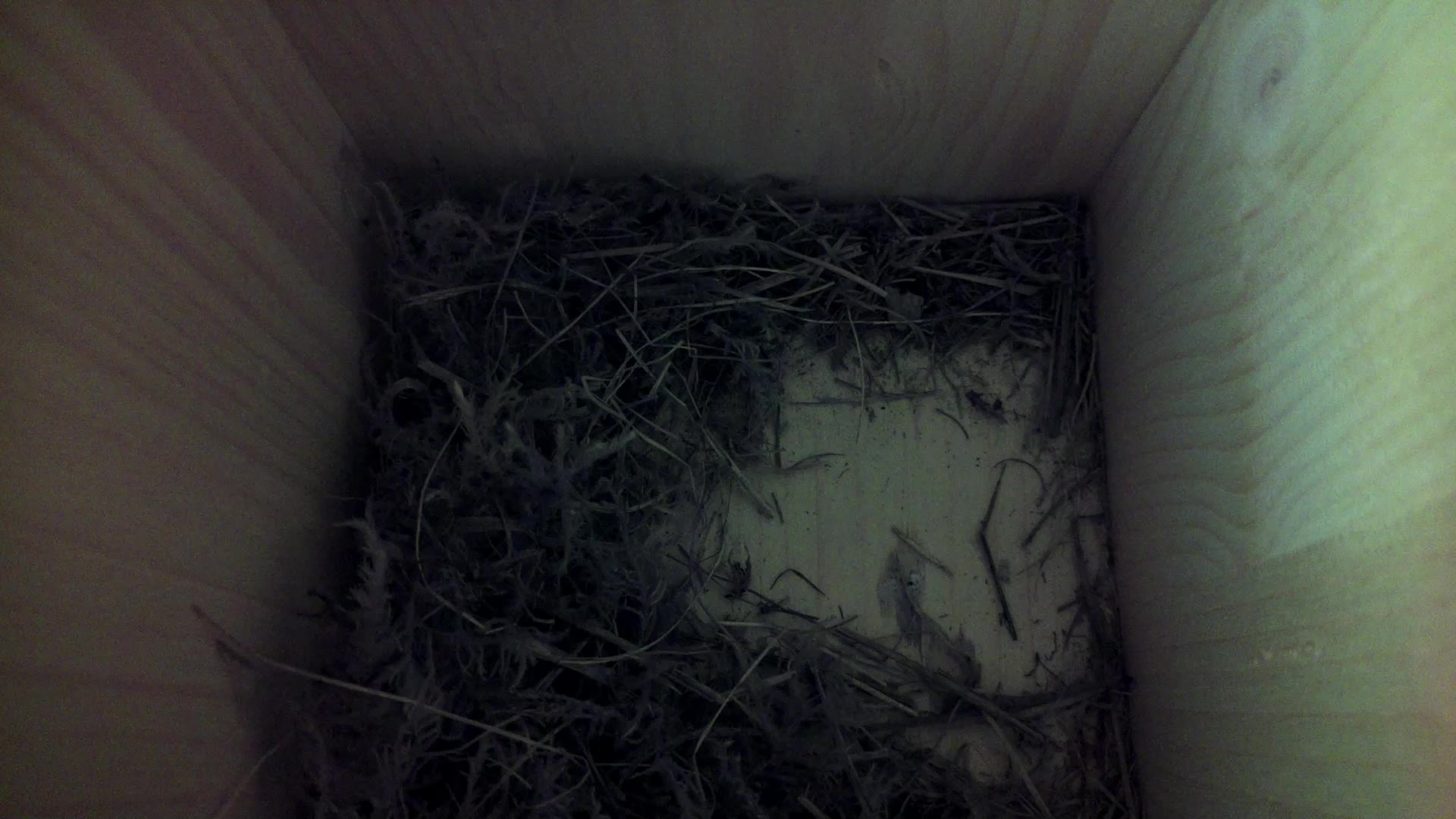 Aufnahme aus dem Vogelhaus