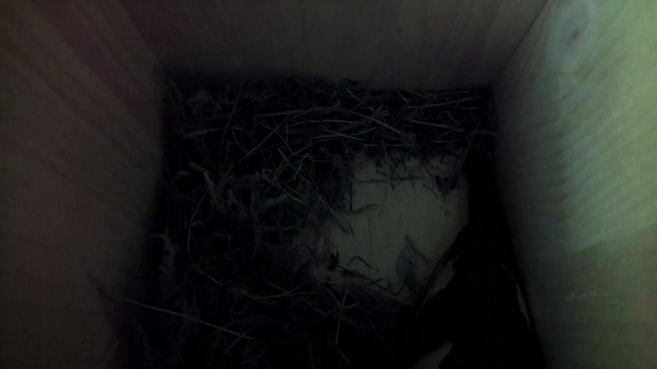Aufnahme aus dem Vogelhaus