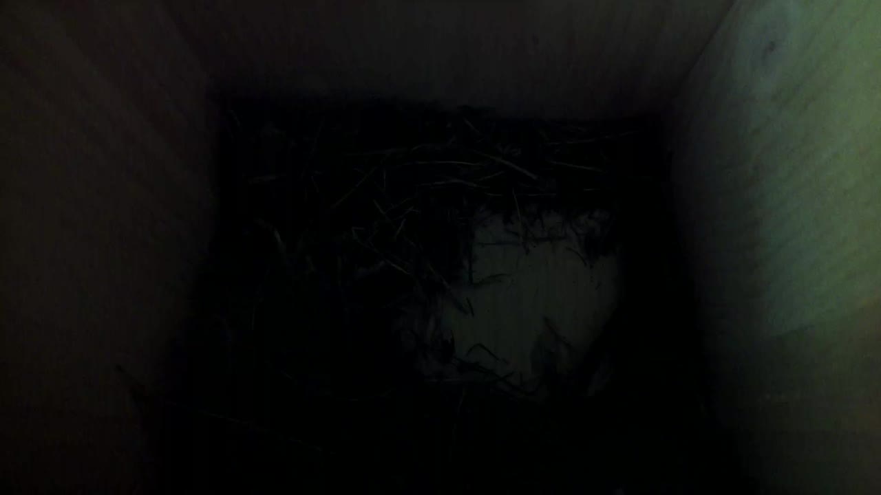 Aufnahme aus dem Vogelhaus