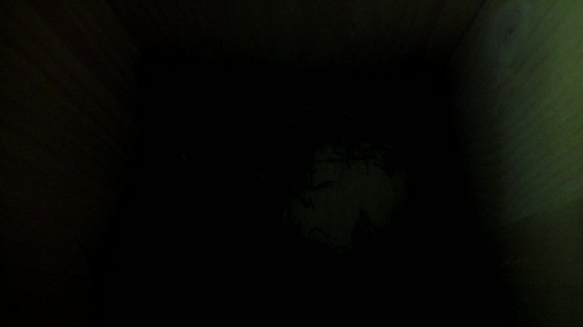 Aufnahme aus dem Vogelhaus