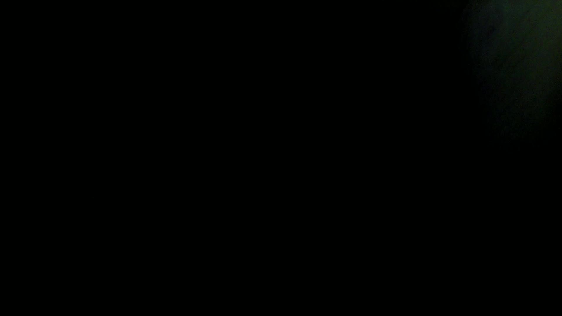 Aufnahme aus dem Vogelhaus