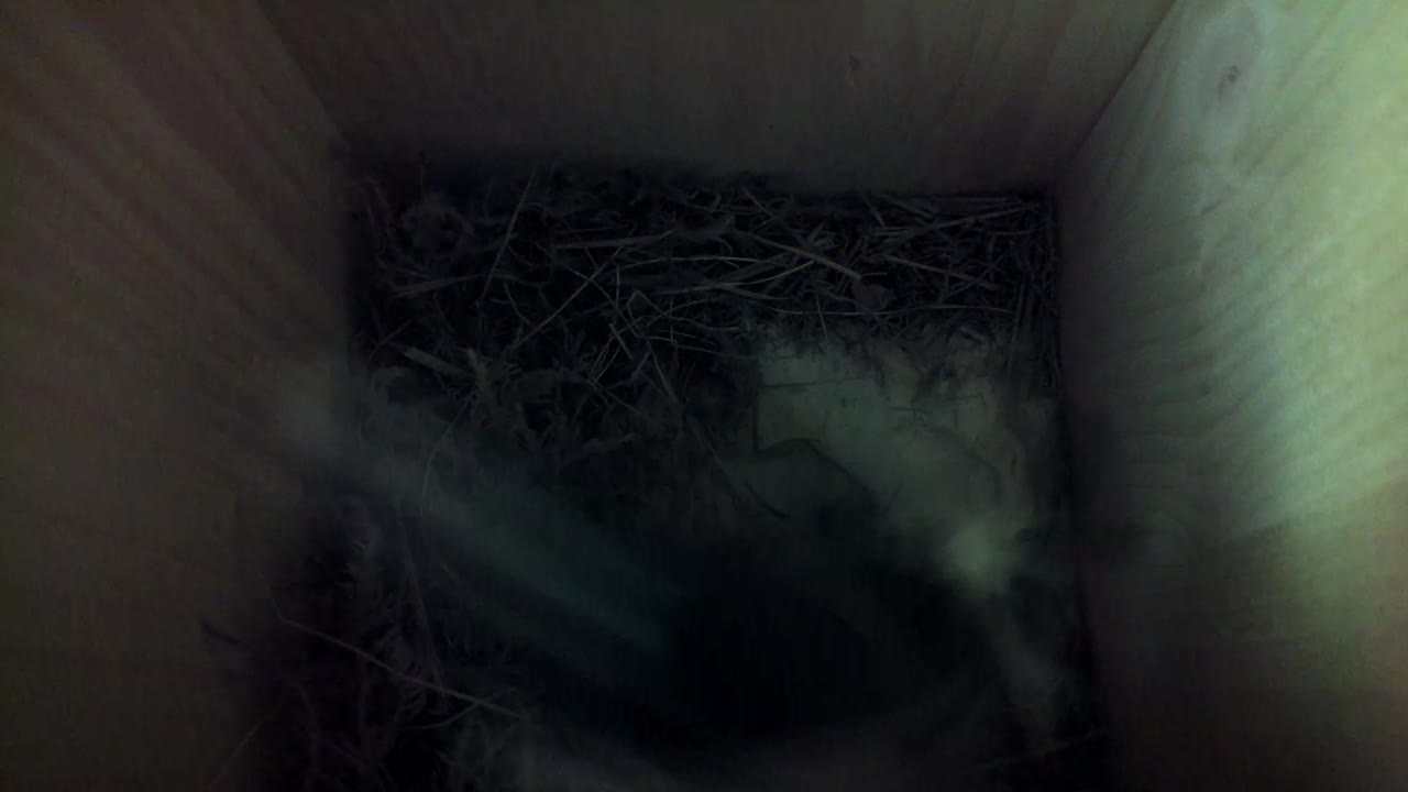 Aufnahme aus dem Vogelhaus