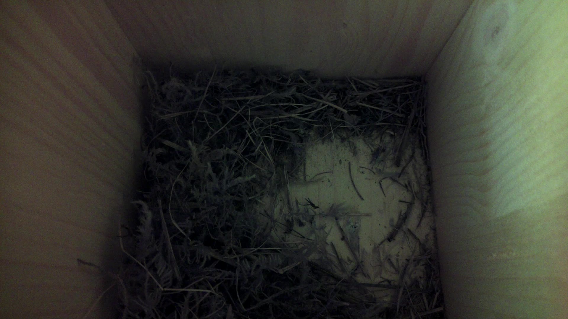 Aufnahme aus dem Vogelhaus