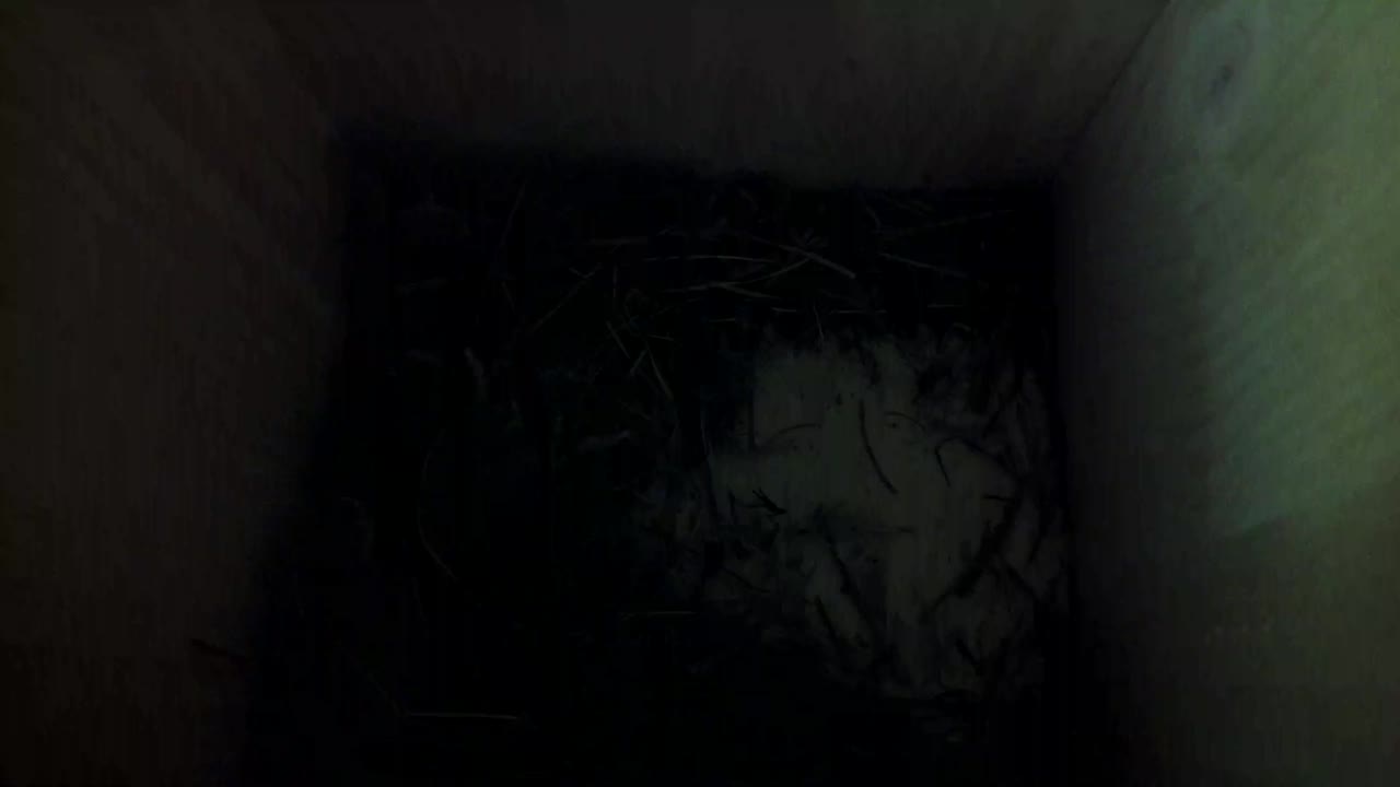 Aufnahme aus dem Vogelhaus