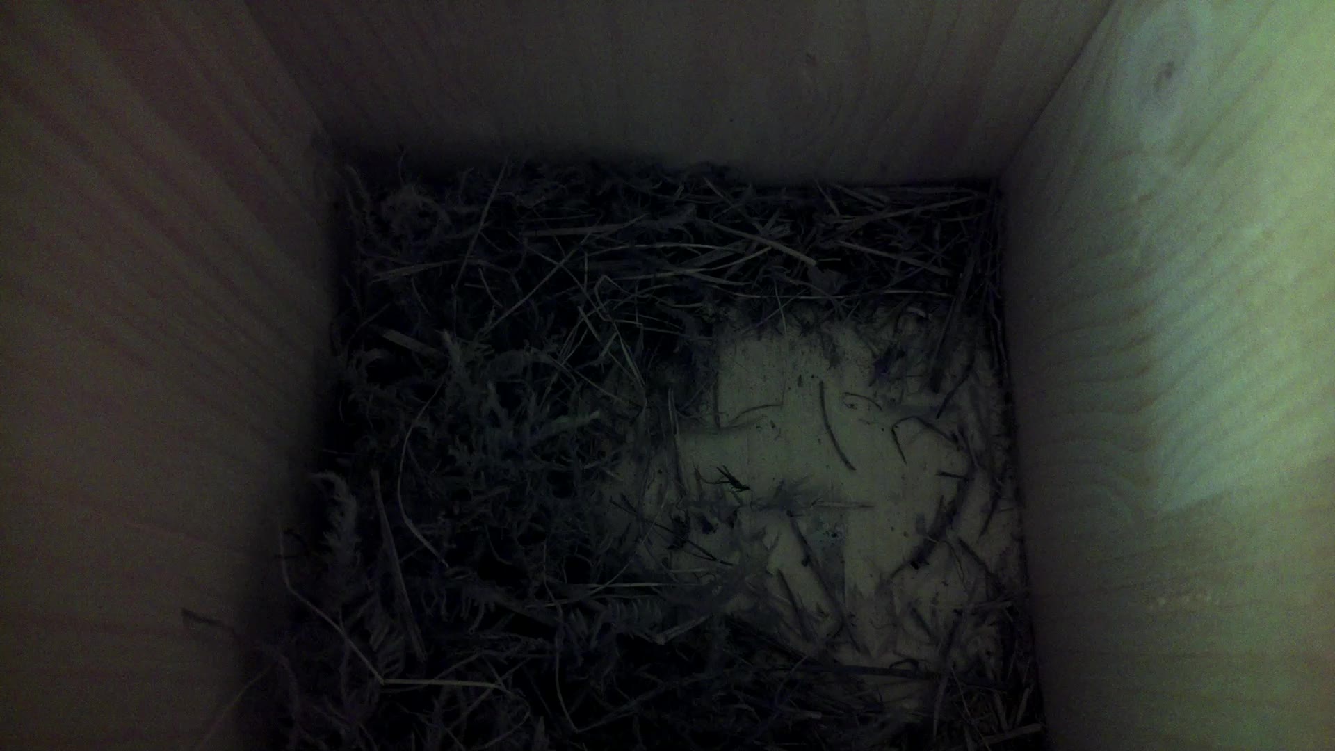 Aufnahme aus dem Vogelhaus