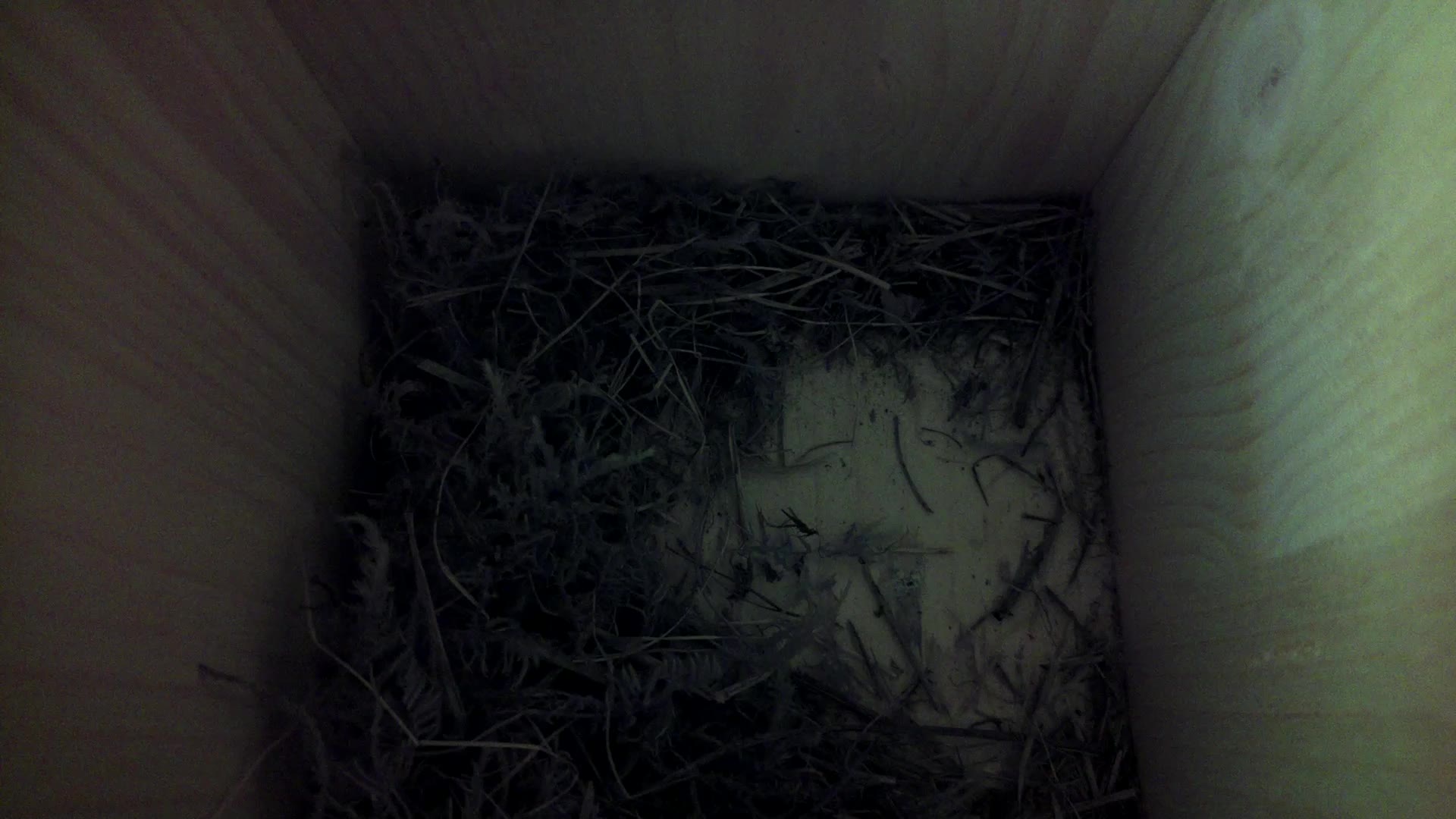 Aufnahme aus dem Vogelhaus