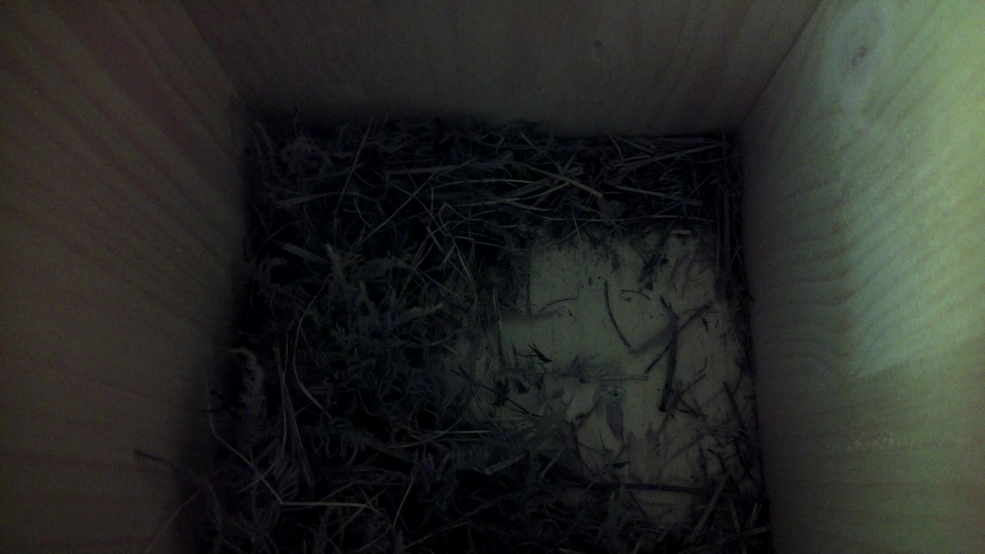 Aufnahme aus dem Vogelhaus