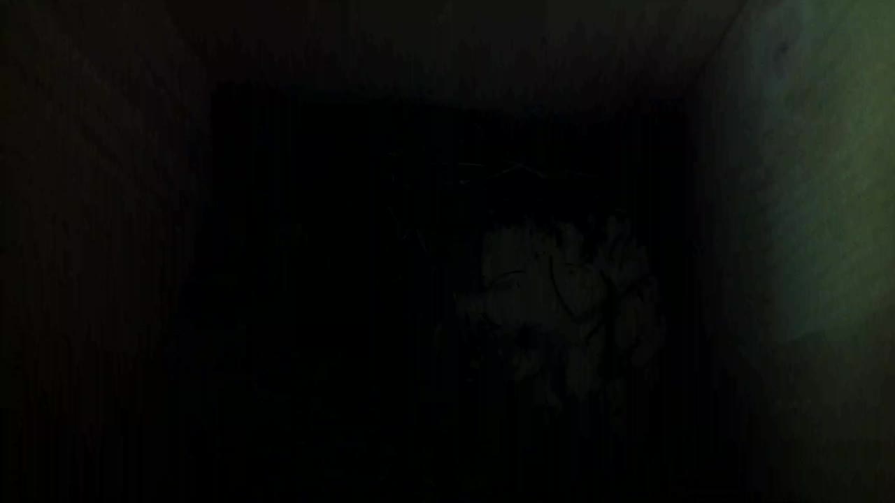 Aufnahme aus dem Vogelhaus