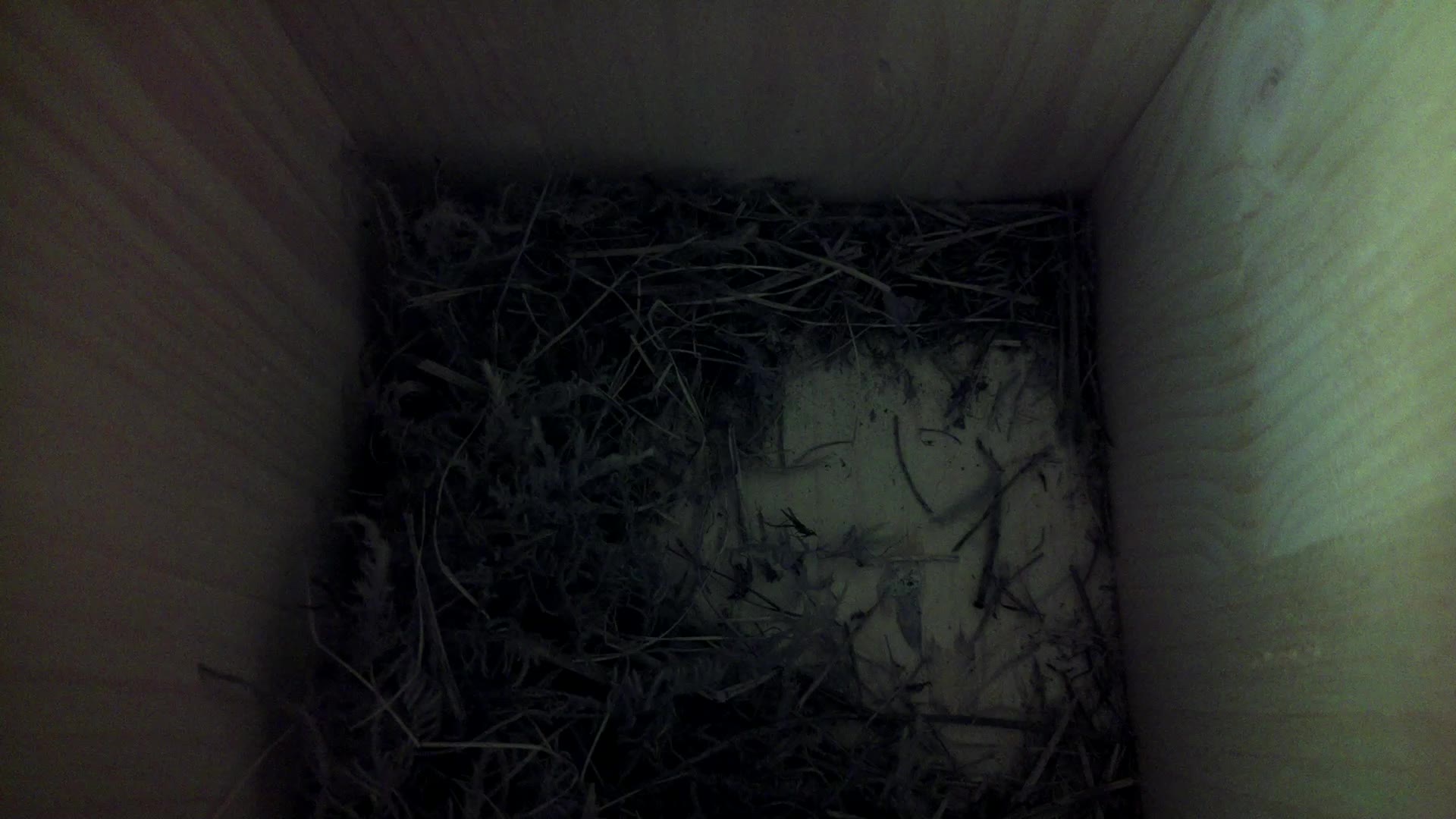 Aufnahme aus dem Vogelhaus