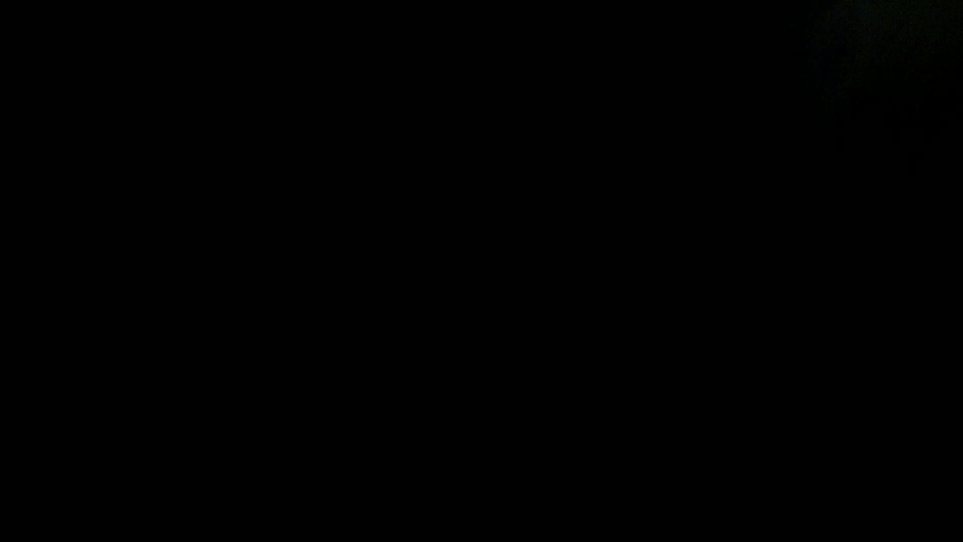 Aufnahme aus dem Vogelhaus