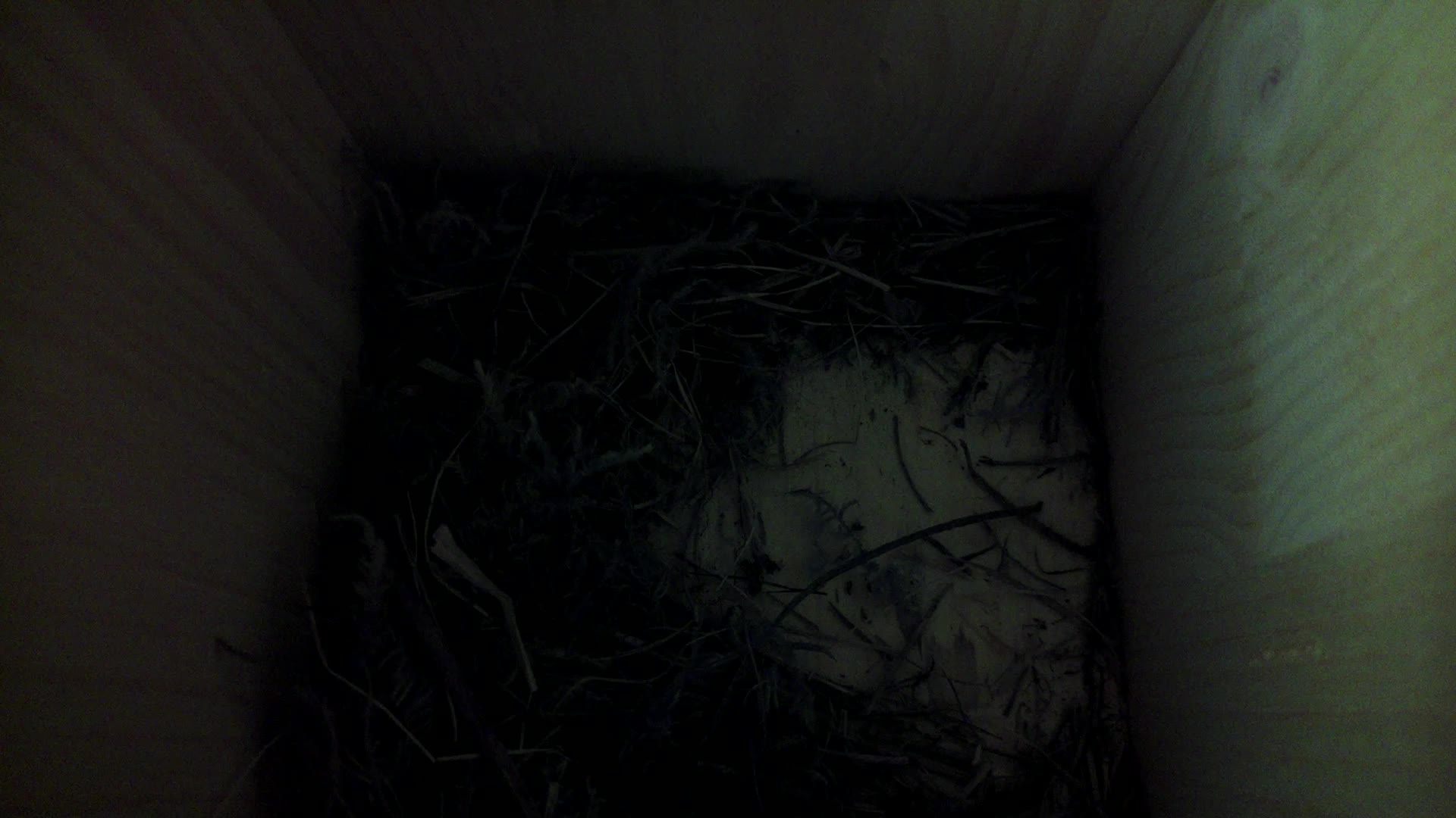 Aufnahme aus dem Vogelhaus