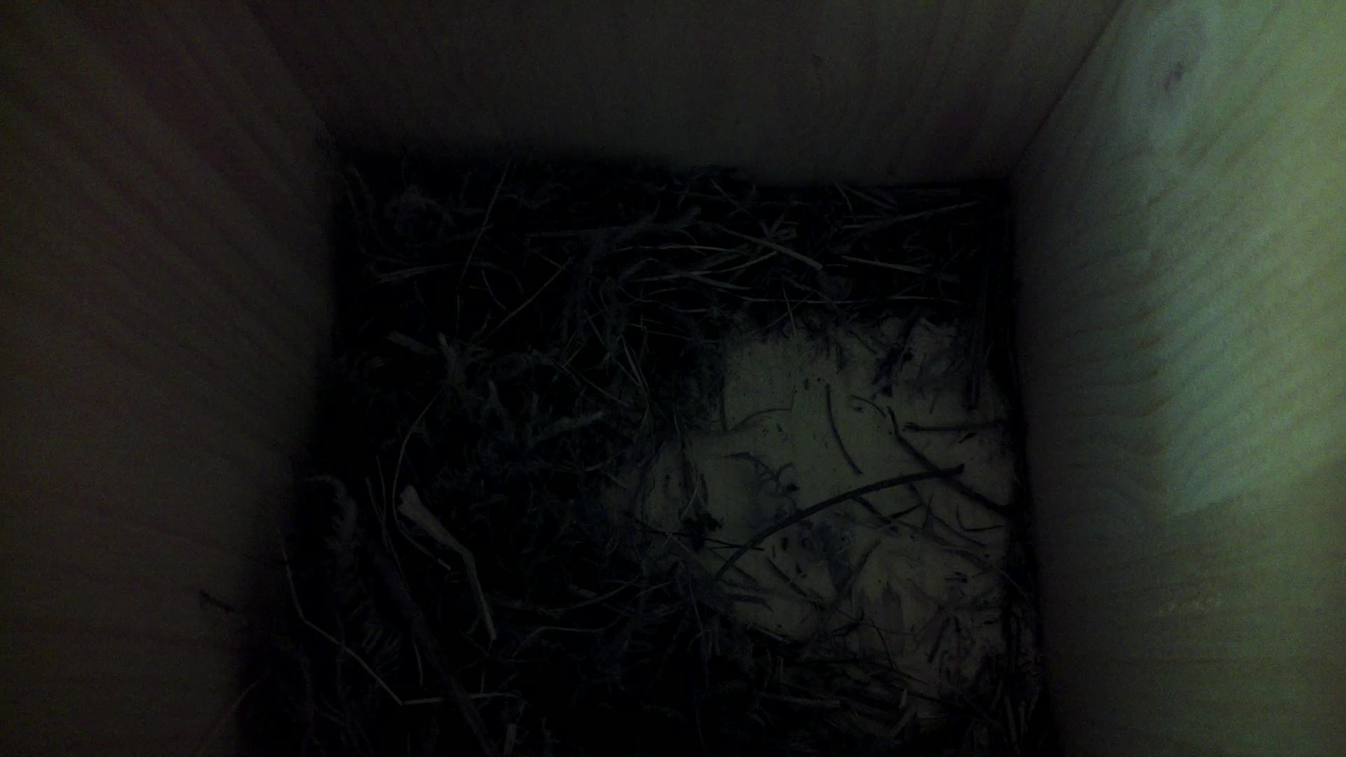 Aufnahme aus dem Vogelhaus