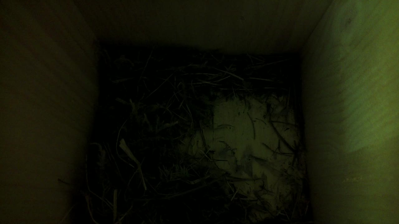 Aufnahme aus dem Vogelhaus