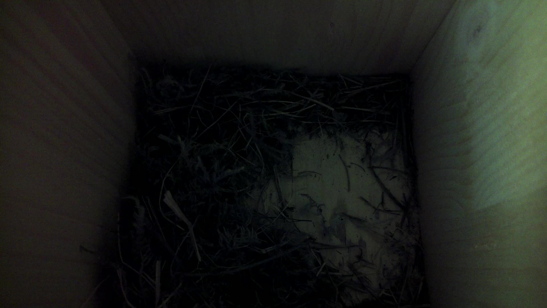 Aufnahme aus dem Vogelhaus