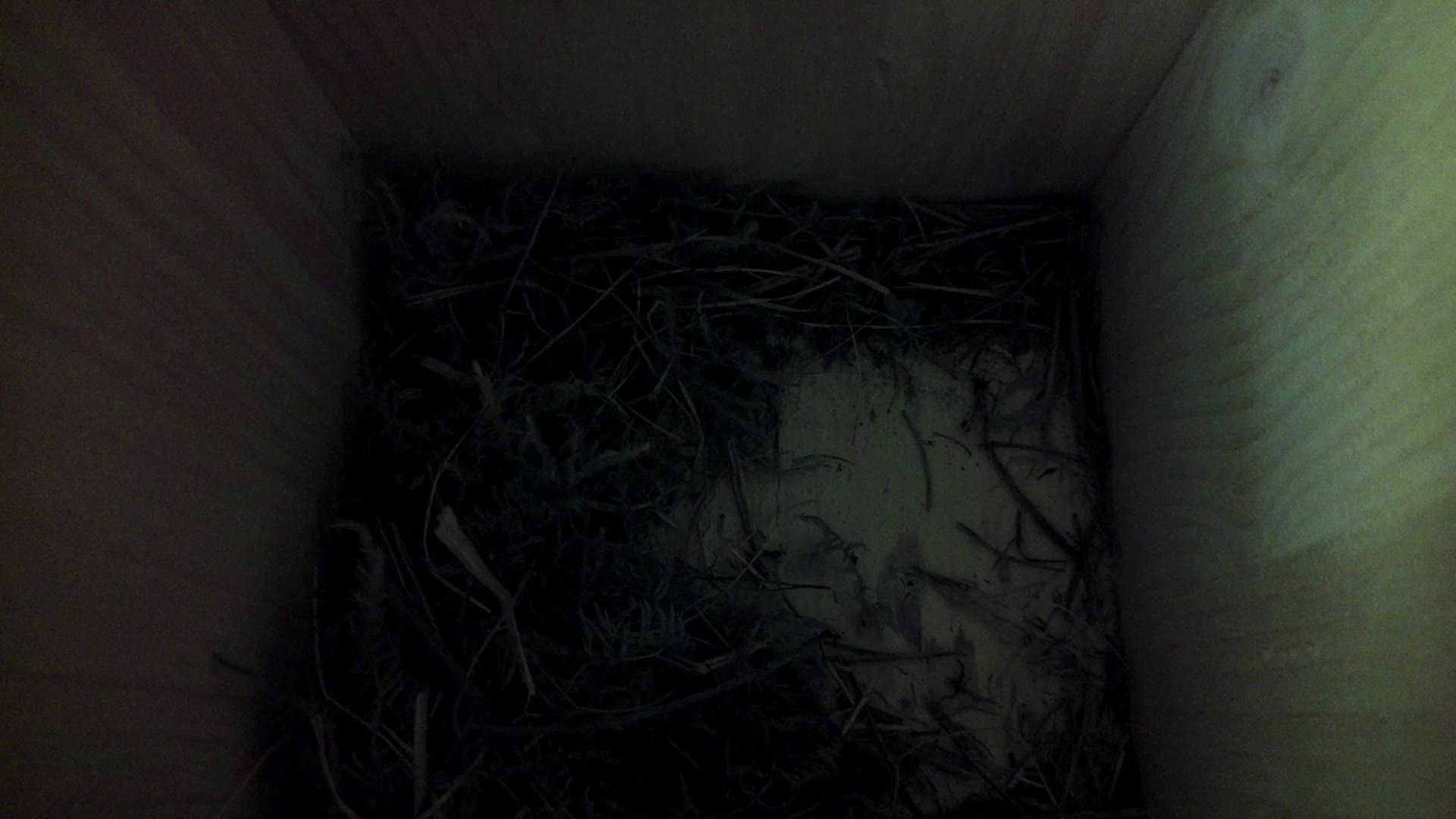 Aufnahme aus dem Vogelhaus