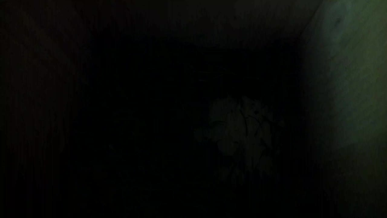 Aufnahme aus dem Vogelhaus