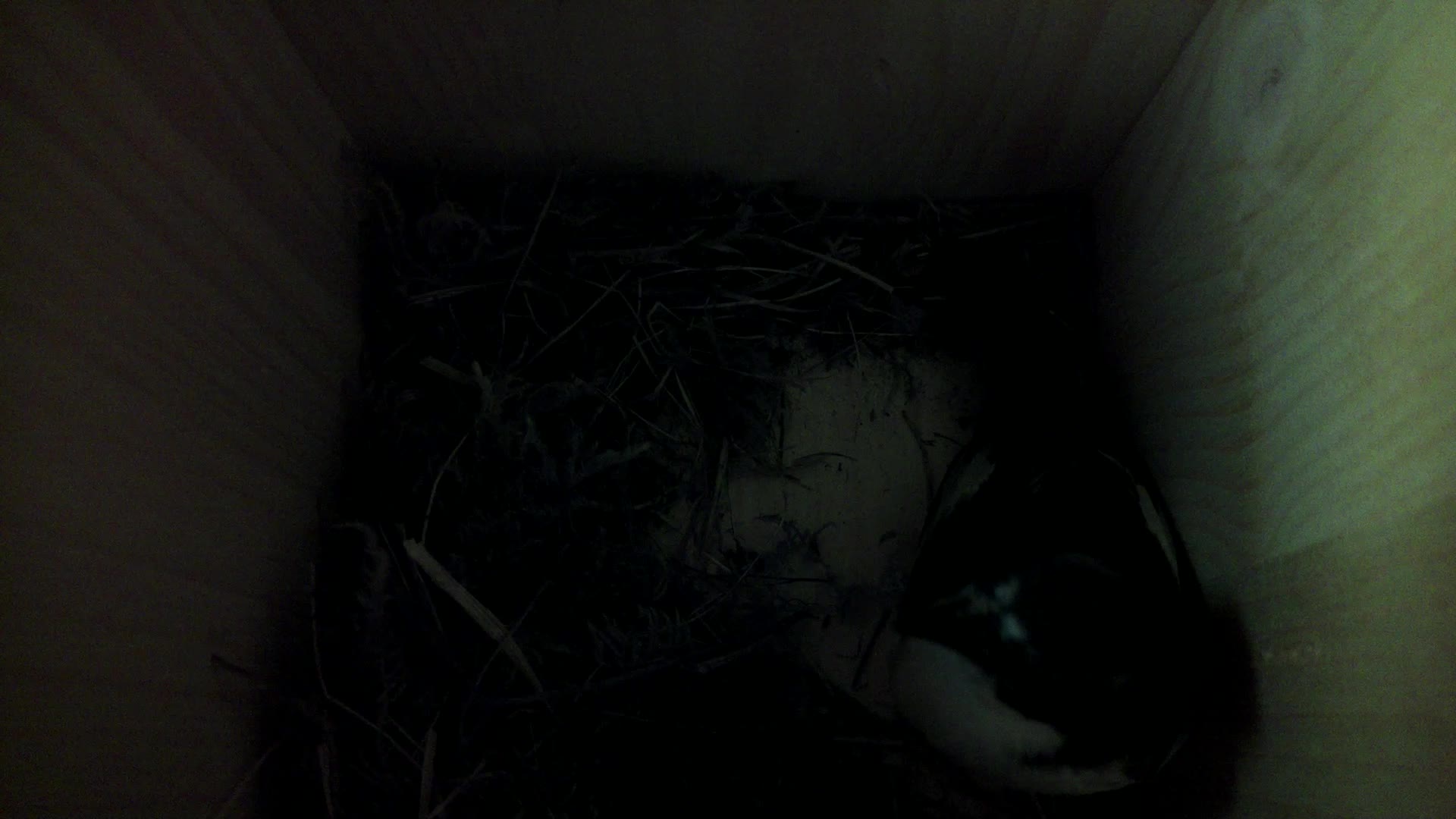 Aufnahme aus dem Vogelhaus