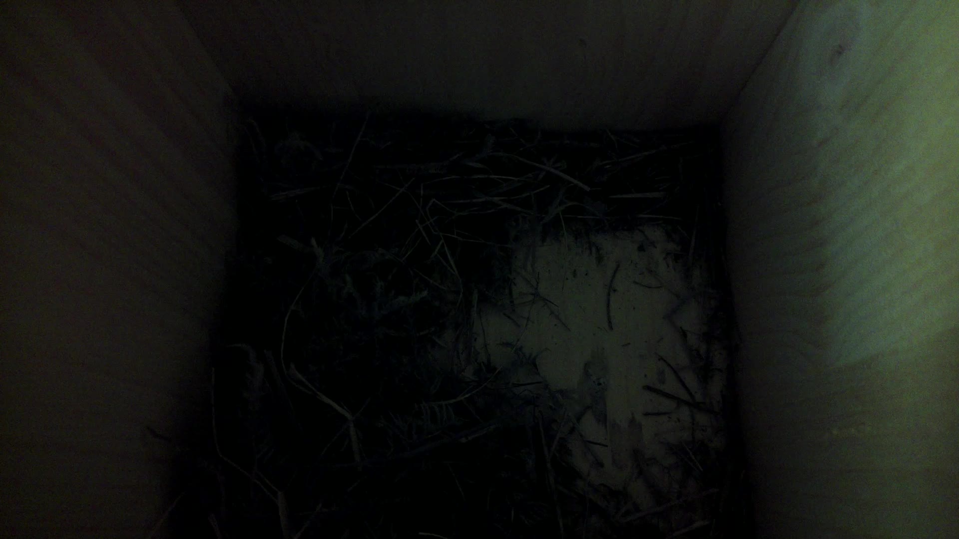 Aufnahme aus dem Vogelhaus
