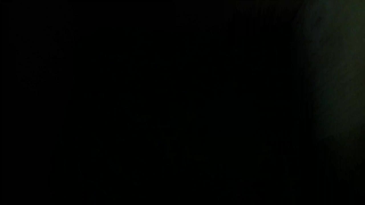 Aufnahme aus dem Vogelhaus