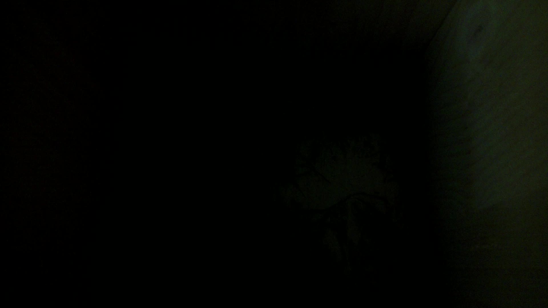 Aufnahme aus dem Vogelhaus