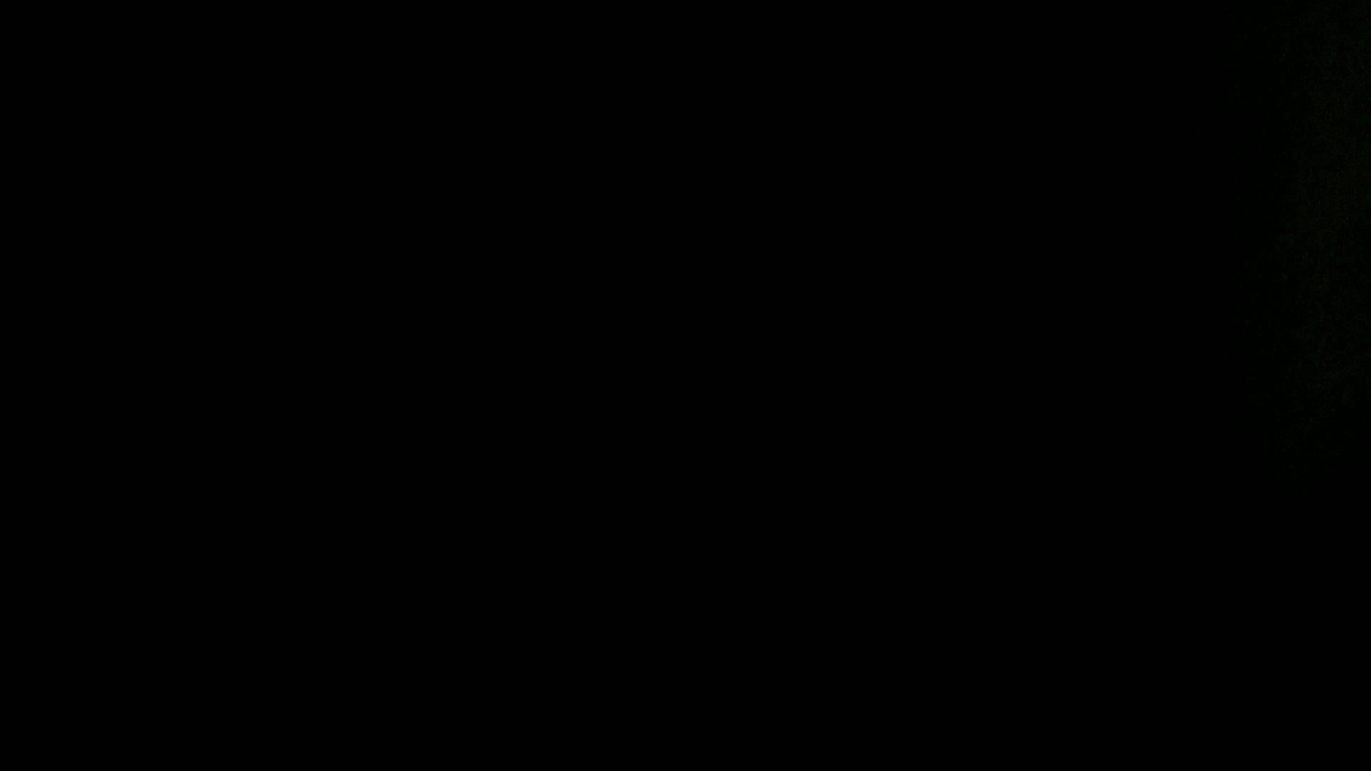 Aufnahme aus dem Vogelhaus