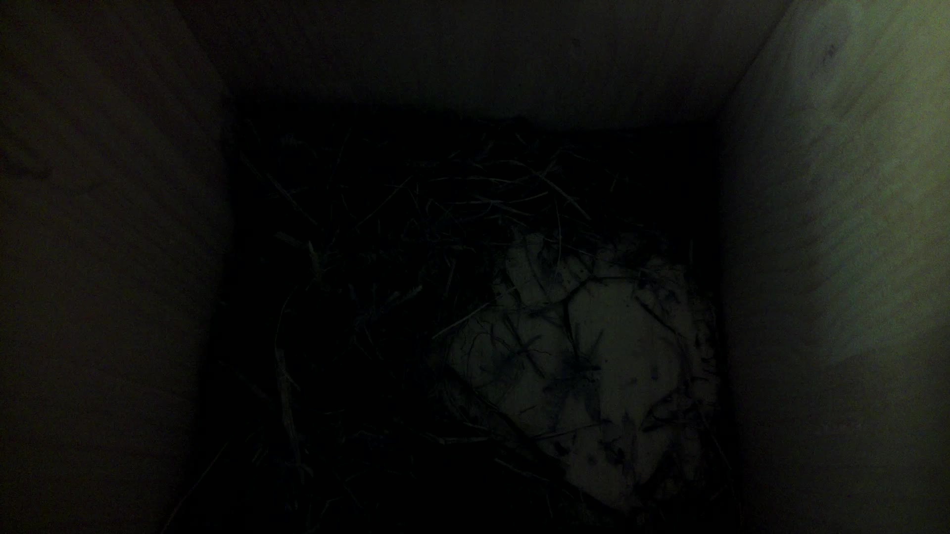 Aufnahme aus dem Vogelhaus