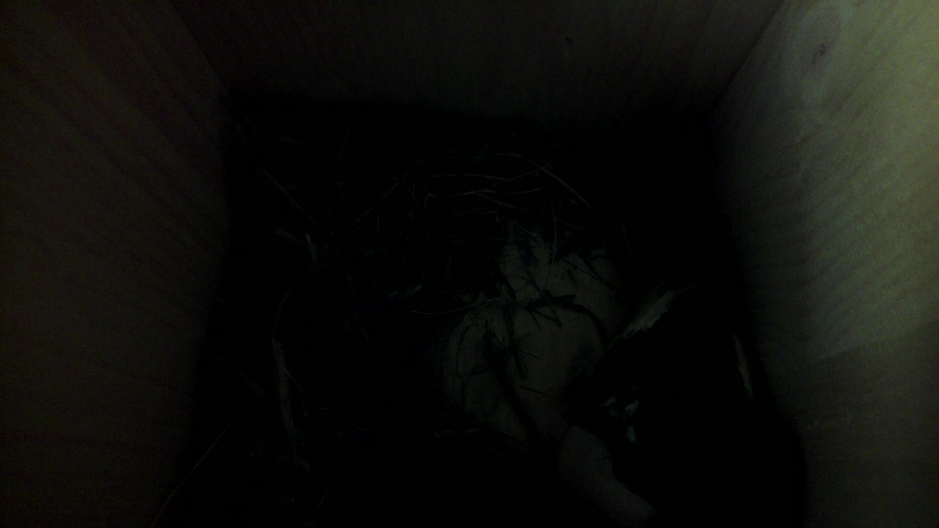 Aufnahme aus dem Vogelhaus