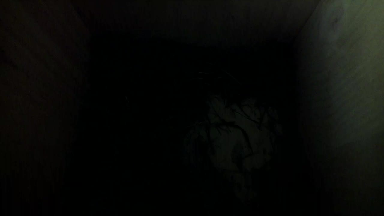 Aufnahme aus dem Vogelhaus