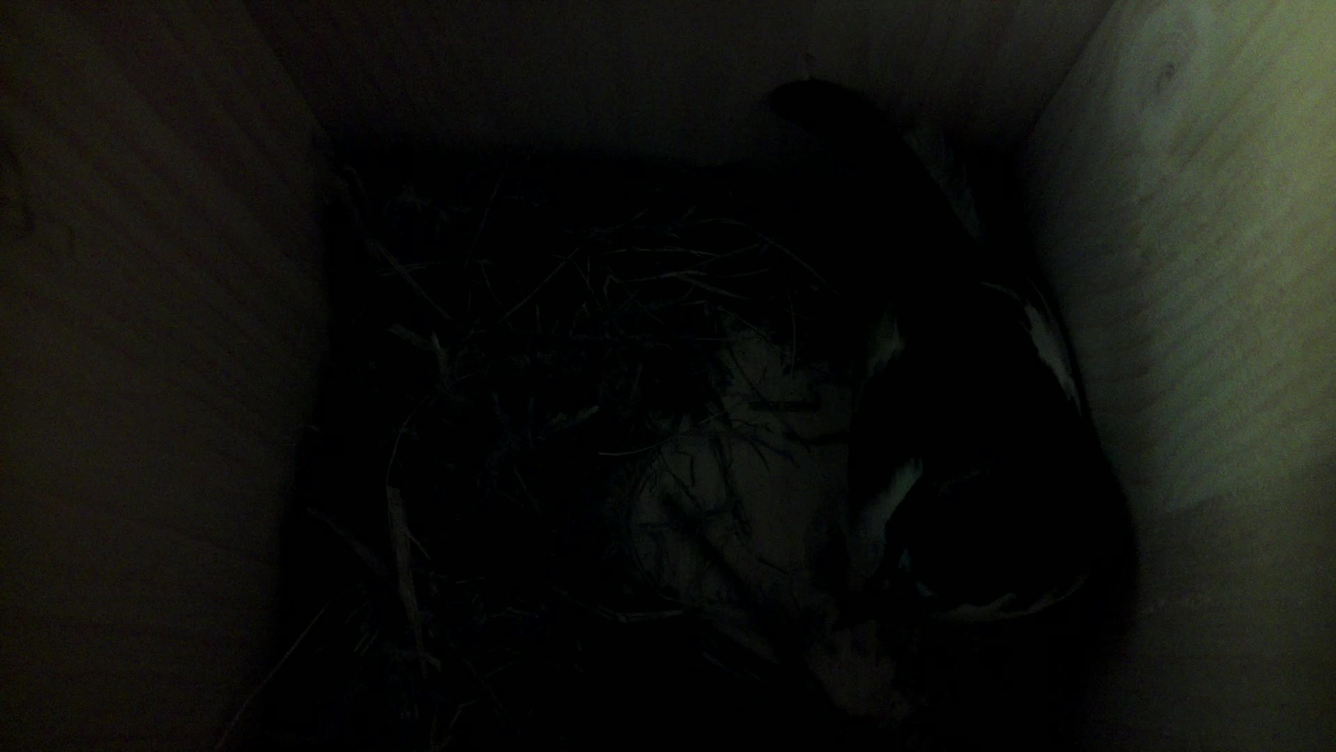 Aufnahme aus dem Vogelhaus