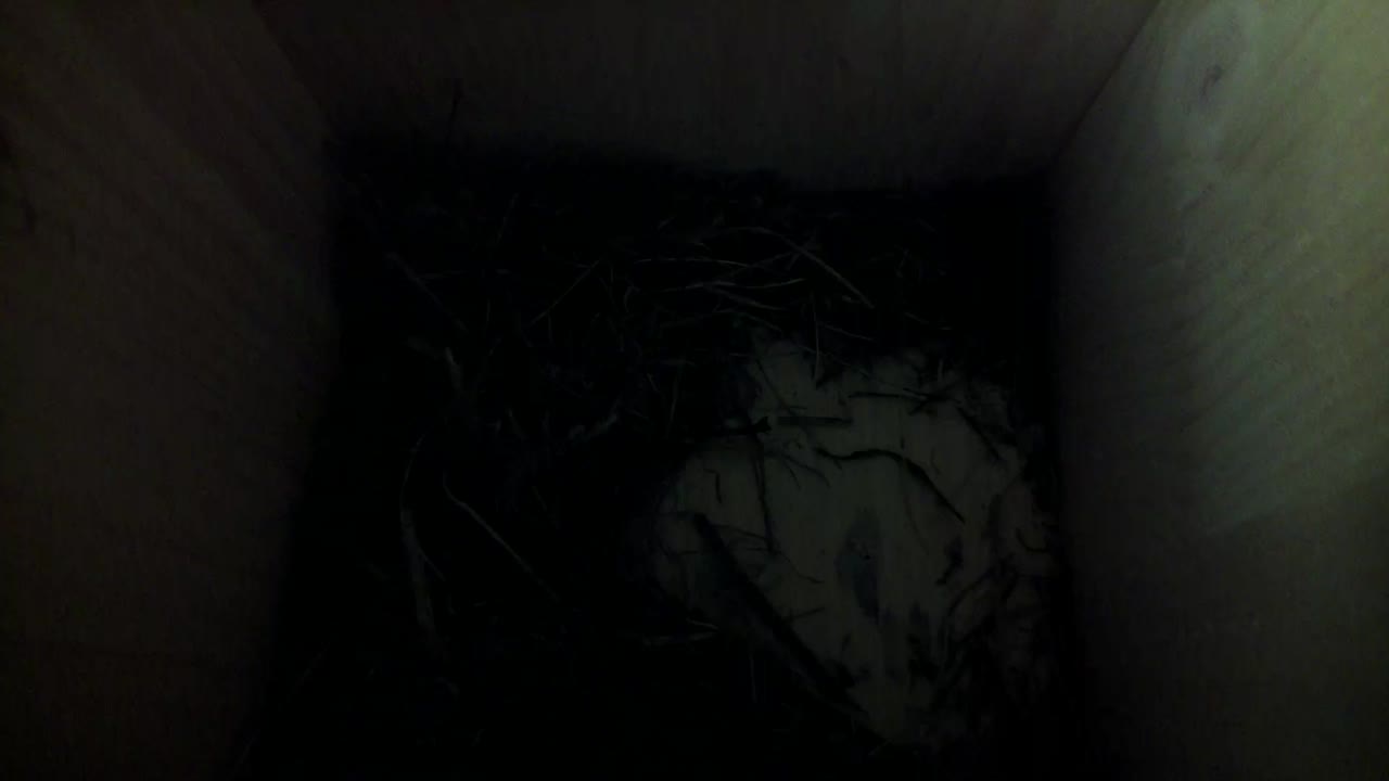 Aufnahme aus dem Vogelhaus