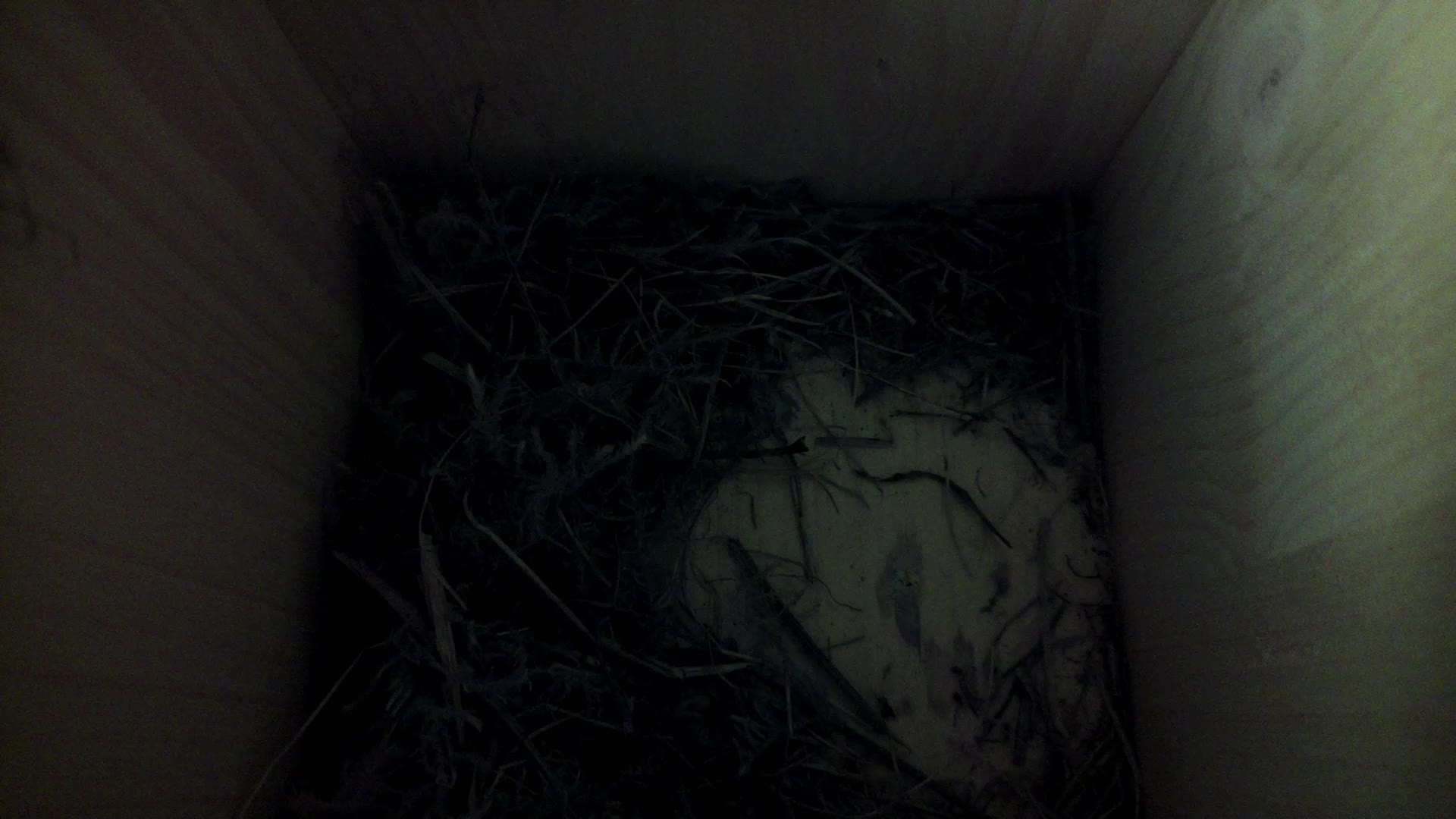Aufnahme aus dem Vogelhaus