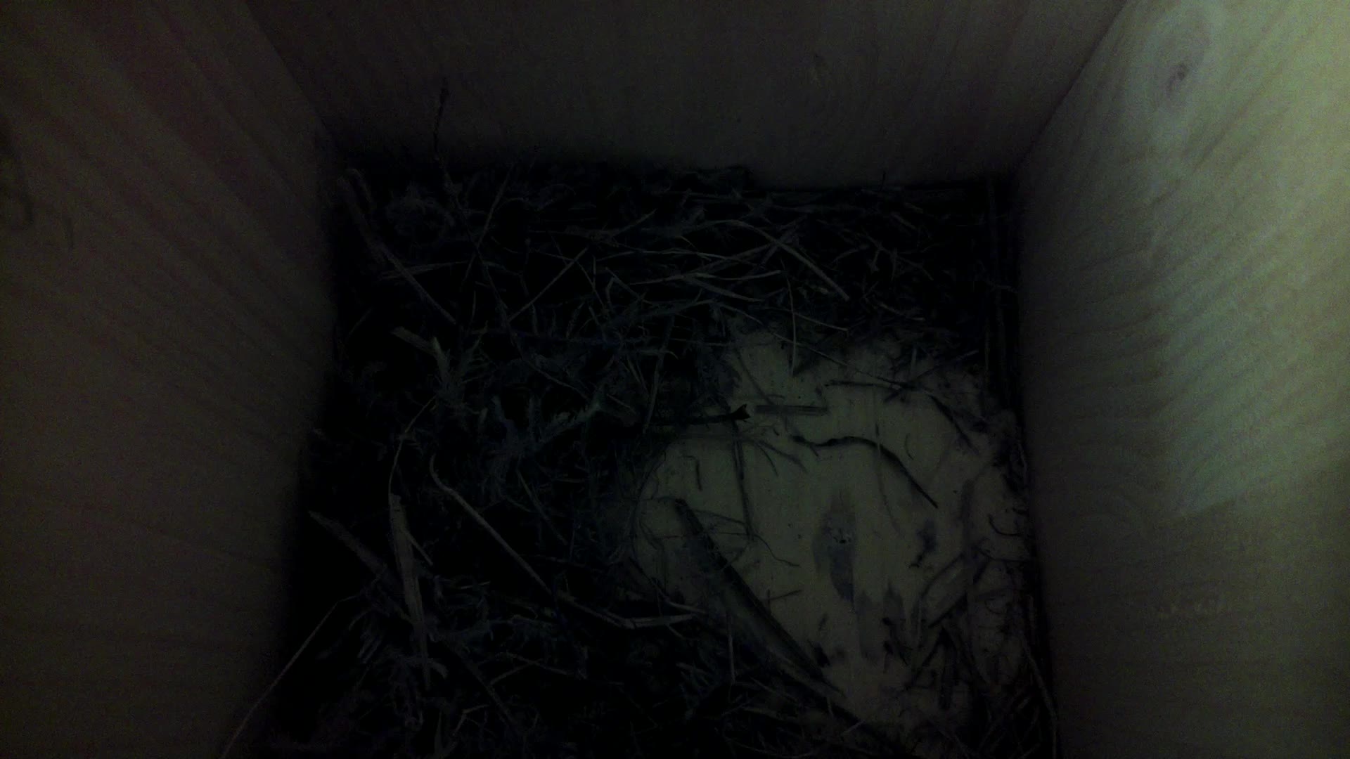 Aufnahme aus dem Vogelhaus