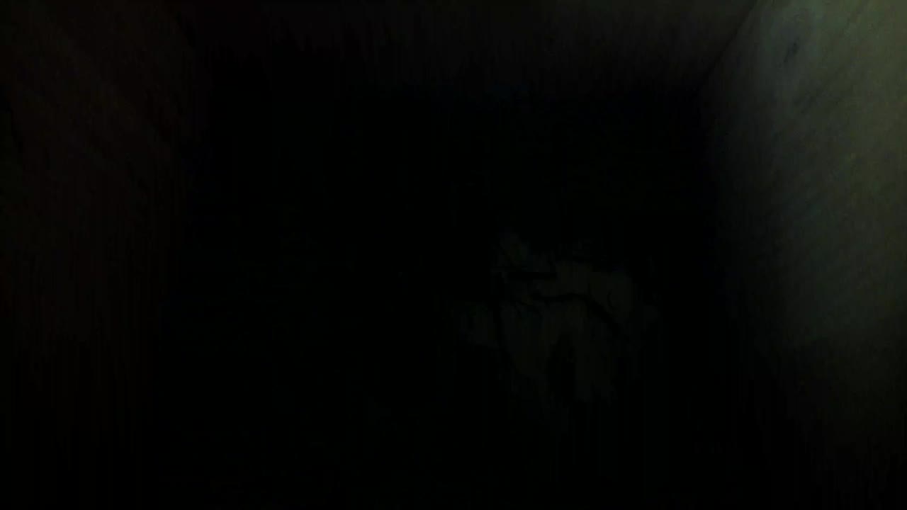 Aufnahme aus dem Vogelhaus