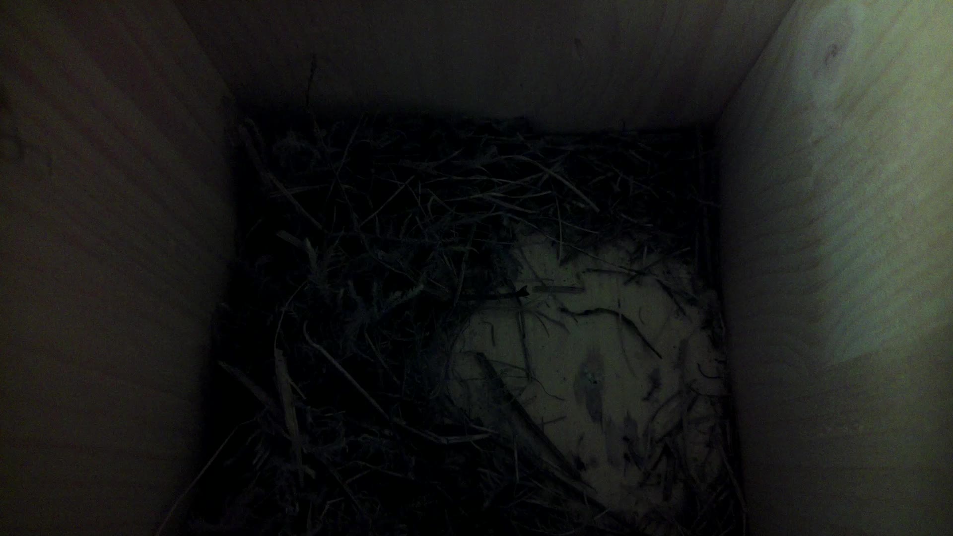 Aufnahme aus dem Vogelhaus